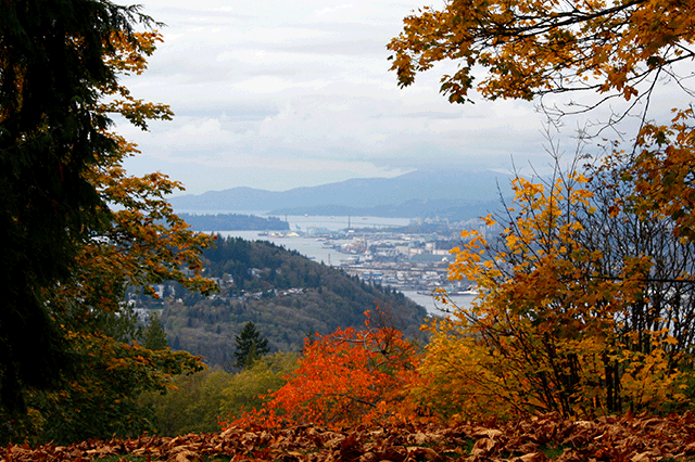 Things to Do – Search Attractions